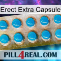 Erect Extra Capsule new09